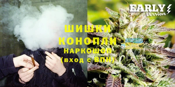 молекула духа Надым