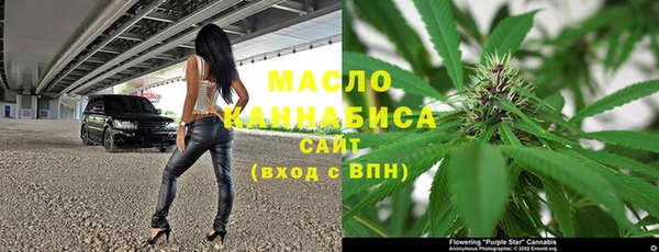 молекула духа Надым