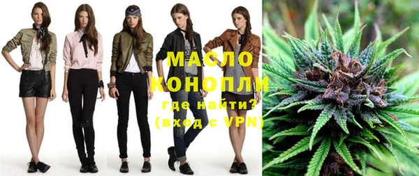 молекула духа Надым