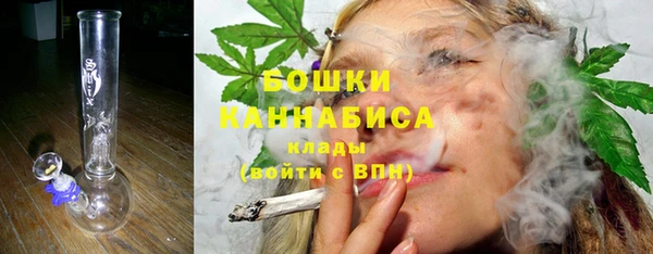молекула духа Надым