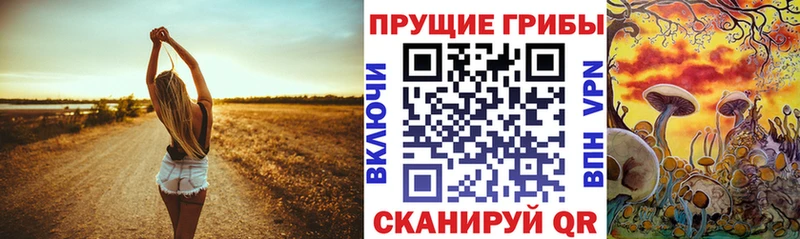 цены наркотик  Пудож  Галлюциногенные грибы прущие грибы 